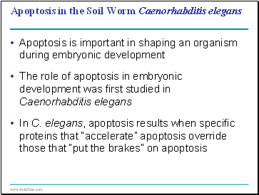 Apoptosis in the Soil Worm Caenorhabditis elegans