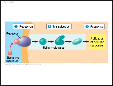 Fig. 11-UN1