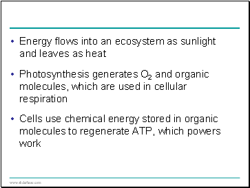 Energy flows into an ecosystem as sunlight and leaves as heat