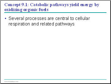 Concept 9.1: Catabolic pathways yield energy by oxidizing organic fuels
