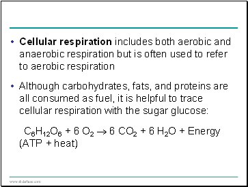 Cellular respiration includes both aerobic and anaerobic respiration but is often used to refer to aerobic respiration