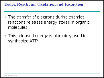 Redox Reactions: Oxidation and Reduction