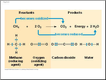 Fig. 9-3