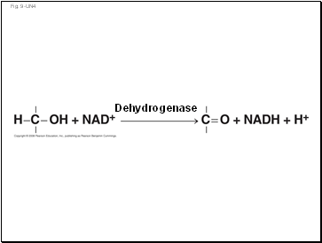 Fig. 9-UN4