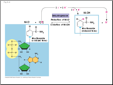 Fig. 9-4