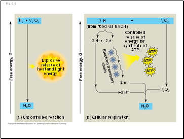 Fig. 9-5