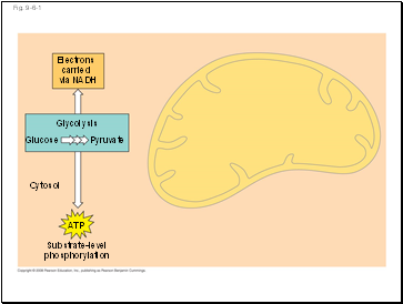 Fig. 9-6-1