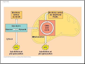 Fig. 9-6-2