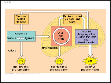 Fig. 9-6-3