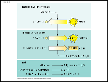 Fig. 9-8