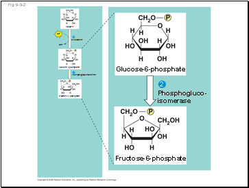 Fig. 9-9-2