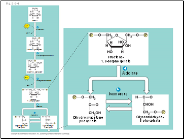 Fig. 9-9-4