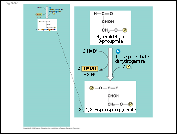 Fig. 9-9-5