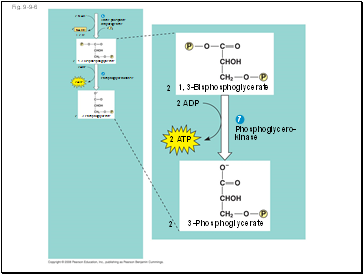 Fig. 9-9-6