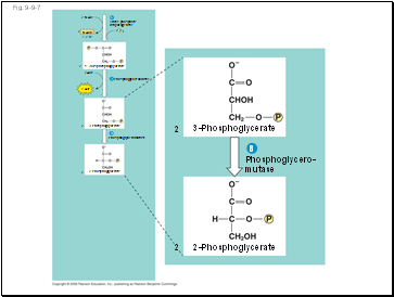 Fig. 9-9-7