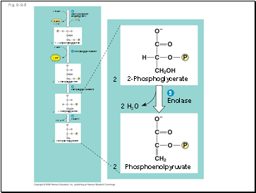 Fig. 9-9-8