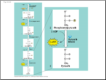 Fig. 9-9-9