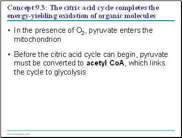 Concept 9.3: The citric acid cycle completes the energy-yielding oxidation of organic molecules