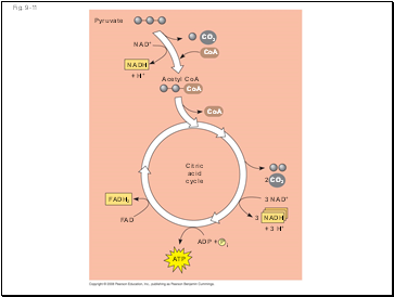 Fig. 9-11