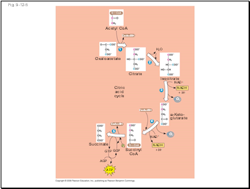 Fig. 9-12-5