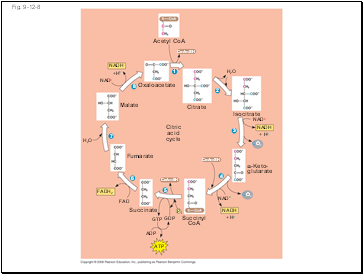 Fig. 9-12-8