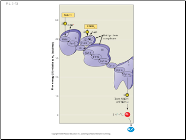 Fig. 9-13