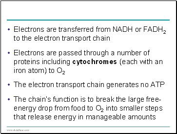 Electrons are transferred from NADH or FADH2 to the electron transport chain