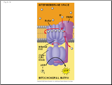 Fig. 9-14