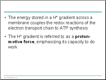 The energy stored in a H+ gradient across a membrane couples the redox reactions of the electron transport chain to ATP synthesis