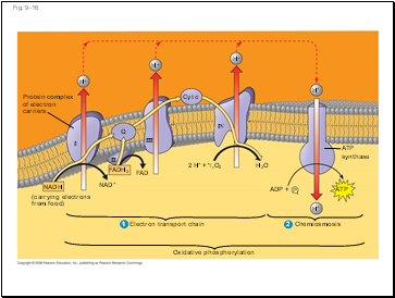 Fig. 9-16