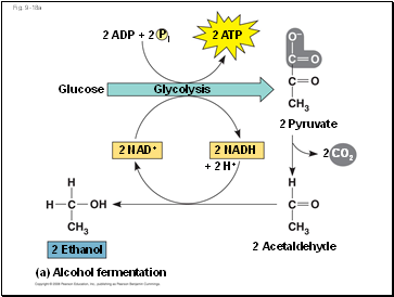 Fig. 9-18a