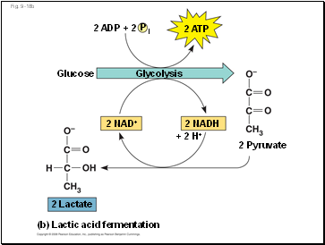 Fig. 9-18b