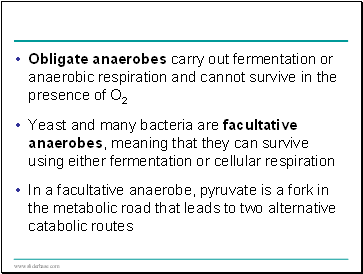 Obligate anaerobes carry out fermentation or anaerobic respiration and cannot survive in the presence of O2