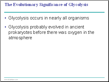 The Evolutionary Significance of Glycolysis