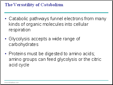 The Versatility of Catabolism