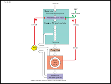 Fig. 9-21