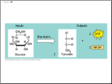 Fig. 9-UN5