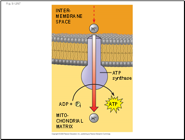 Fig. 9-UN7