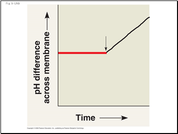 Fig. 9-UN9