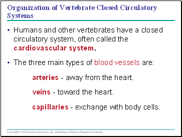 Organization of Vertebrate Closed Circulatory Systems