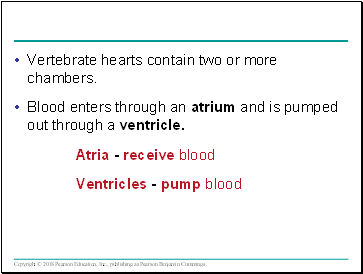 Vertebrate hearts contain two or more chambers.