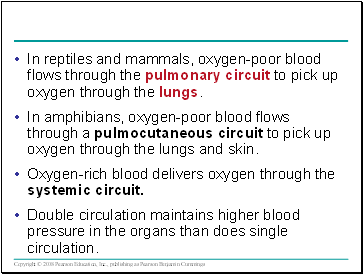 In reptiles and mammals, oxygen-poor blood flows through the pulmonary circuit to pick up oxygen through the lungs.