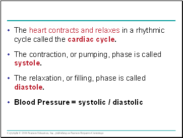 The heart contracts and relaxes in a rhythic cycle called the cardiac cycle.