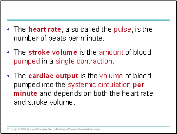 The heart rate, also called the pulse, is the number of beats per minute.