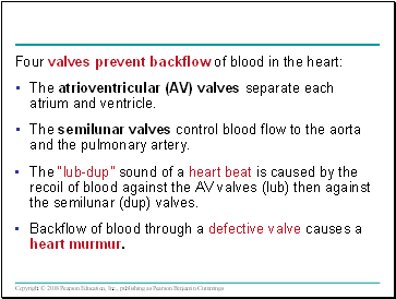 Four valves prevent backflow of blood in the heart: