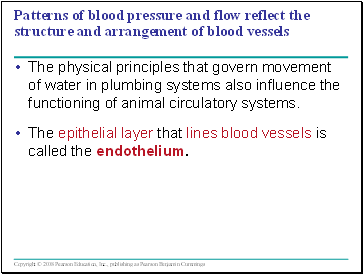 Patterns of blood pressure and flow reflect the structure and arrangement of blood vessels