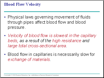 Blood Flow Velocity