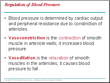 Regulation of Blood Pressure