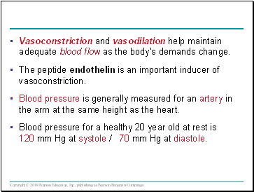 Vasoconstriction and vasodilation help maintain adequate blood flow as the bodys demands change.