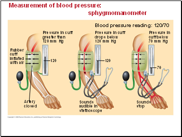 Measurement of blood pressure: sphygmomanometer
